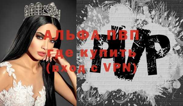 сатива Гусь-Хрустальный