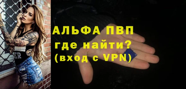 сатива Гусь-Хрустальный
