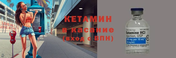 сатива Гусь-Хрустальный