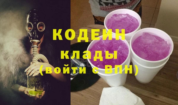 сатива Гусь-Хрустальный