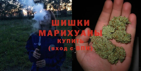 дмт Дмитров