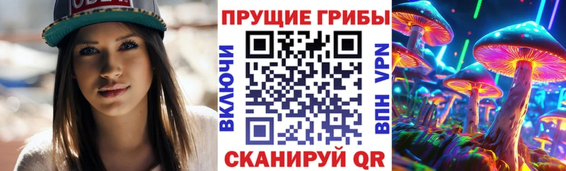 Псилоцибиновые грибы Magic Shrooms  как найти закладки  Щёлкино 